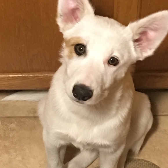 Meet your Posher, Gloria - Picture 5 of 5